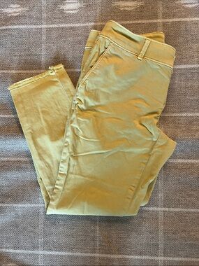 LOFT Skinny Jeans in Olive Green